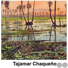 Tajamar Chaqueño - Obra de Emili Aparici